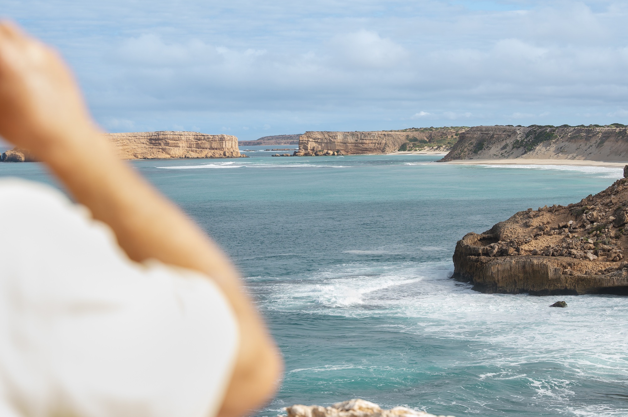 private-whale-watching-adventure-land-sea-air