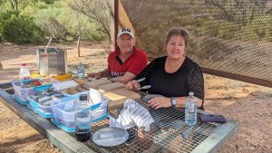 nullarbor-tour-gallery-gawler-ranges