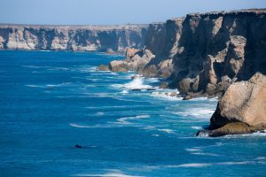 nullarbor-tour-gallery-southern-right-whale