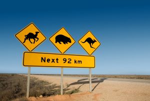 nullarbor-tour-gallery-7