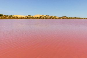 nullarbor-tour-gallery-lake-macdonnell